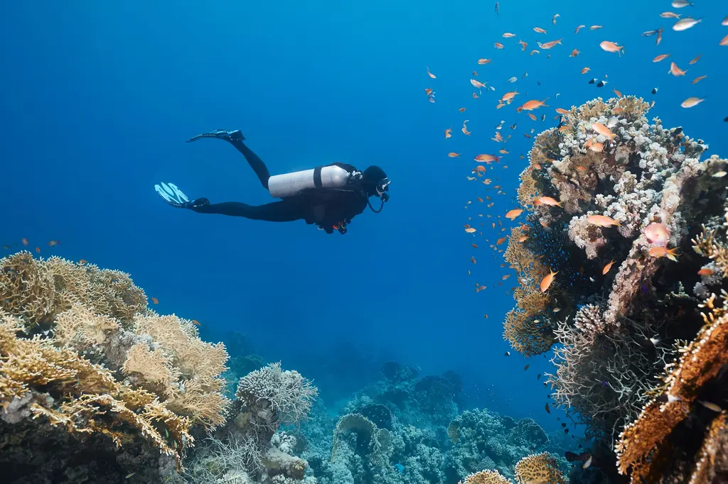 NH Maldives Kuda Rah Resort image 11