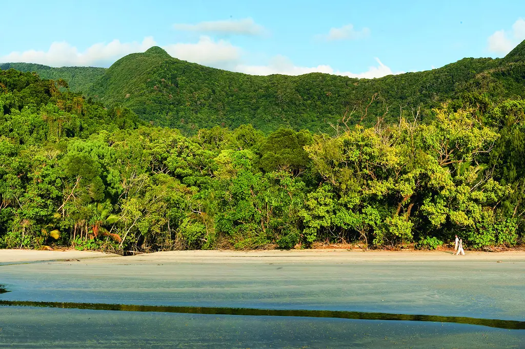 mist at Cape Tribulation image 9