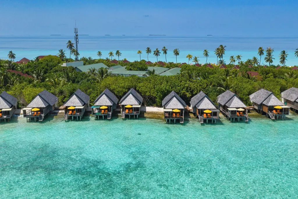 Dhigufaru Island Resort image 7