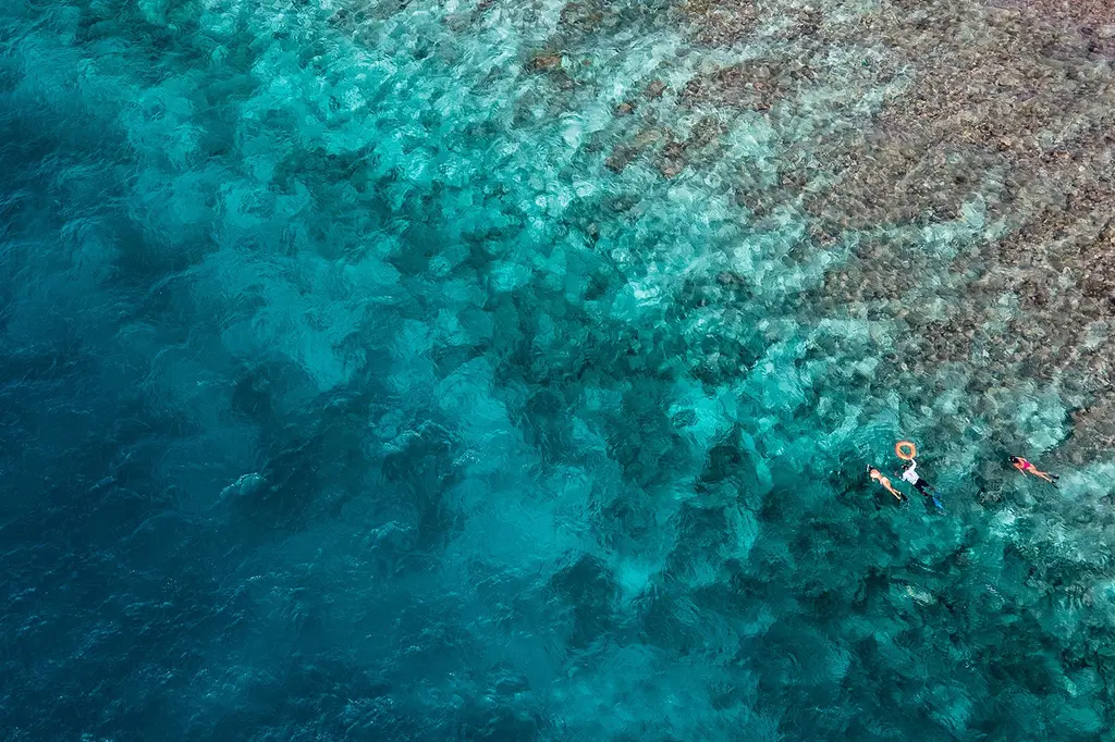 Finolhu, a Seaside Collection Resort image 17