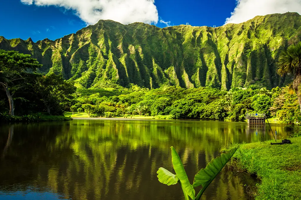 OUTRIGGER Reef Waikiki Beach Resort image 11