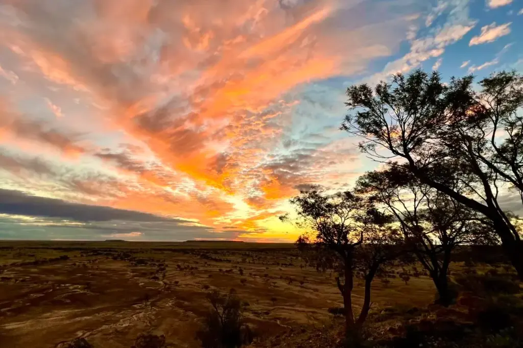 Rangelands Outback Camp image 7