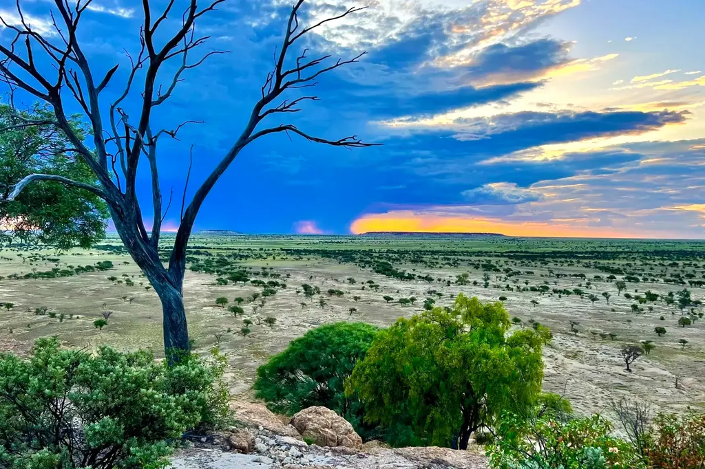 Rangelands Outback Camp image 11