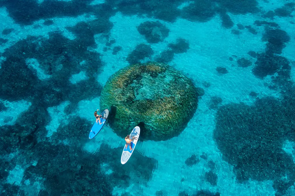 Wilson Island image 14