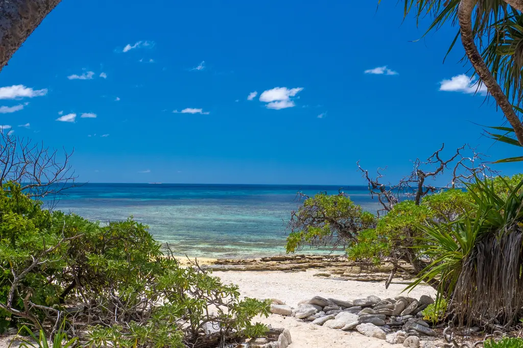 Wilson Island image 15