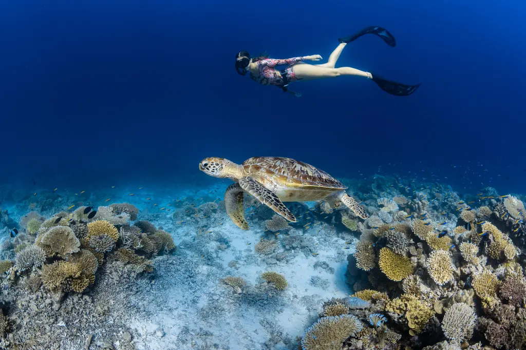 Park Hyatt Maldives Hadahaa image 16