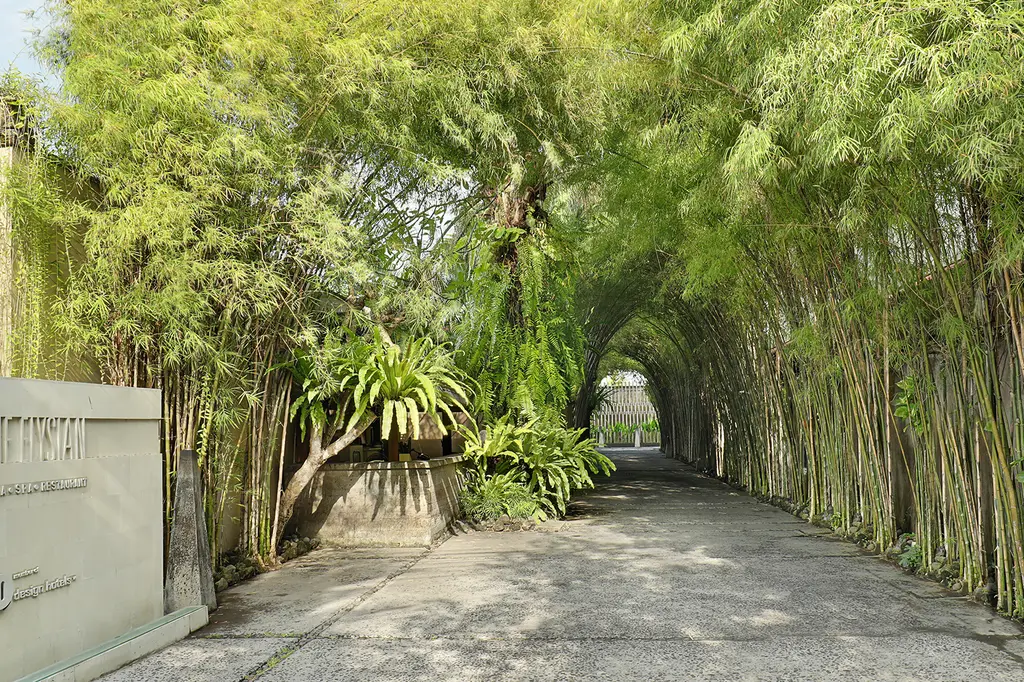 The Elysian Boutique Villa Hotel image 4