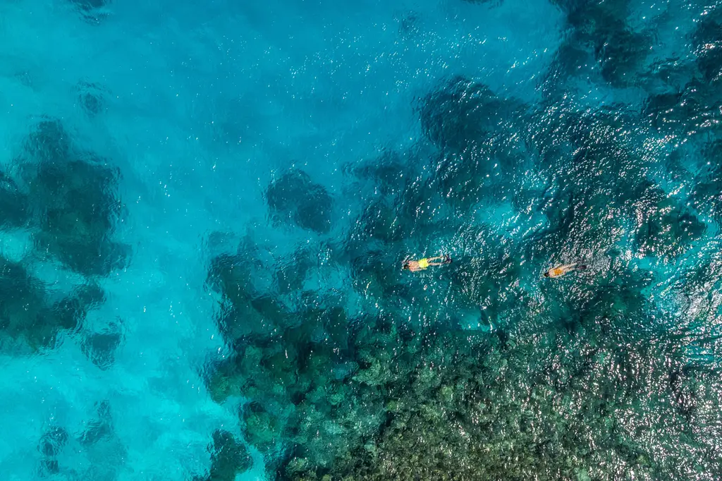 The Halcyon Private Isles Maldives, Autograph Collection image 13