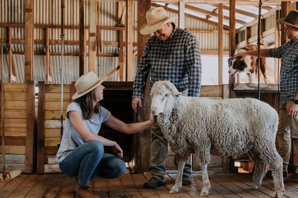 Outback Pioneers image 9